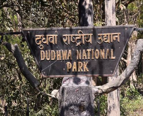 Dudhwa National Park